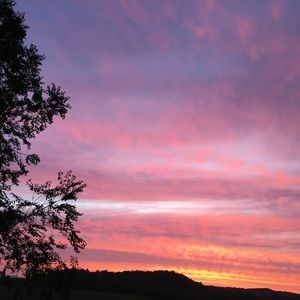 Meet your Posher, Quinn